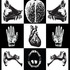 20121018231507-a_brain_that_sees_a_heart_that_feels_anda_mouth_that_listens_