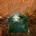 20121018232510-image