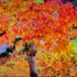 20121018233013-image
