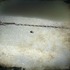 20121019155047-image
