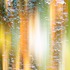 20121019163458-image