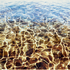 20121020023514-fluid_dynamics_4