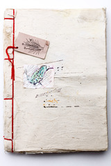 Untitled ,MADELEINE GEKIERE