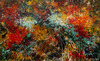 20121022132350-abundace_series_-_unabashed_57_in_x_91_in__