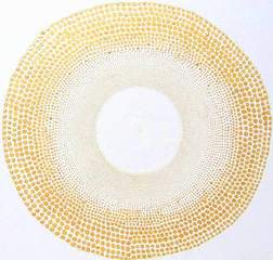 ,Katsura Okada
