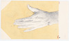 20121023075043-londono_main