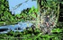 20121023110426-wondering_and_wandering