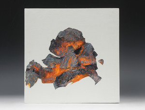 20121023212946-embers