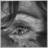20121023224755-cooke__night_look__2012__graphite_on_paper__38