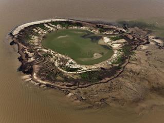 Oil Spill #11, Nesting Grounds with Oil, Gulf of Mexico,Edward Burtynsky