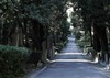 20121025134329-theinadequate1-400x283
