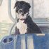 20121026005206-fuzzy_bear