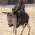 20121027170141-donkey_rider