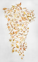 Ninety-Nine Leaves #1,Lisa Kokin