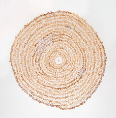 Record (Arboreal),Lisa Kokin
