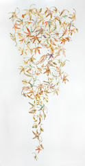 Ninety-Nine Leaves 2,Lisa Kokin