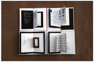 A Story Within A Story  (On-going Open Book Project),Astha Butail