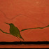 20121028142634-summer_sojourn