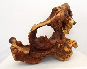 Crescendo,Susanna Caldwell