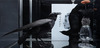 20121029010448-ex_meckseper_490