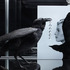 20121029010448-ex_meckseper_490