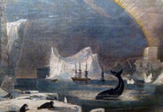 ,Louise Berg