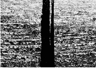 ,Michal Rovner