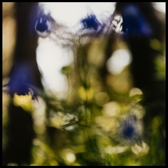 Disorientation 0319,Rob Nypels