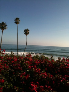 20121030034244-img_1102
