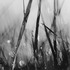 20121030125318-daland1