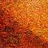 20121030225209-autumn_colors