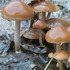 20121031150859-2012-10-29_15