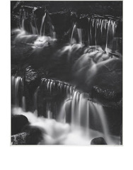 Fern Spring, Dusk, Yosemite Valley ,Ansel Adams