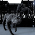 20121101144400-grassino__14_