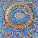 20121101144749-obital_lander1