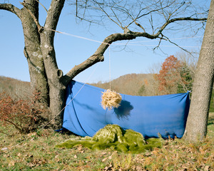 Treatment,Rachel Styer
