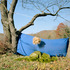 20121102002034-styer-treatment-1