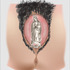 20121102030018-la_virgen_con_estrella_fugaz