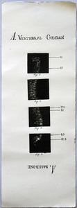 20121102052433-005