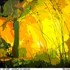 Burning_light
