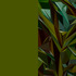 20121102163426-afonso
