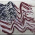 20121104181618-raymond_waters_flag