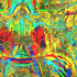 20121104185755-color_wonderland_2