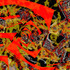 20121104200926-looking_in