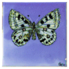 Butterfy Tile,Pamela Gerrie