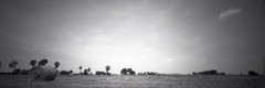 20121105194804-2010-07-05-03