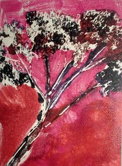 Sedum 2,Lisa Stocking