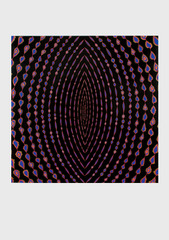 ,Fred Tomaselli