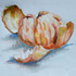 20121107162227-11__orange