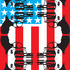 20121108203308-flag_unfolding